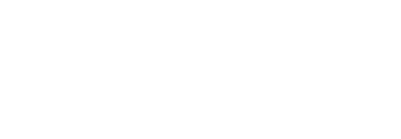 Next Level Leader Logo - FINAL - WHITE