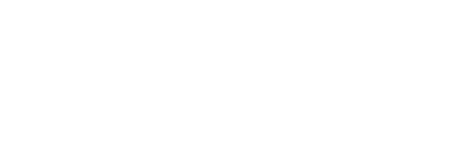 Next-Level Leader: Foundations